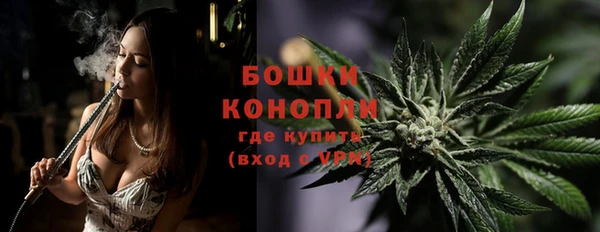 прущие грибы Магадан