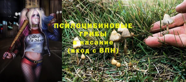 apvp Лиски