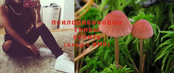 apvp Лиски