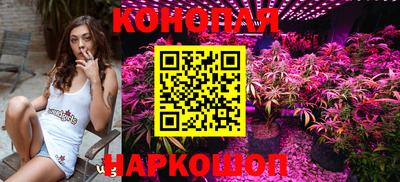 мдпв Дубна
