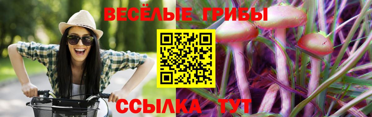 Галлюциногенные грибы ЛСД  что такое наркотик  Улан-Удэ  Вход с VPN  Галлюциногенные грибы ЛСД 